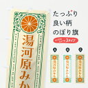 【ポスト便 送料360】 のぼり旗 湯河原みかん・温州みかん・レトロ風のぼり JGX9 みかん・柑橘類 グッズプロ 【名入れできます+1017円】