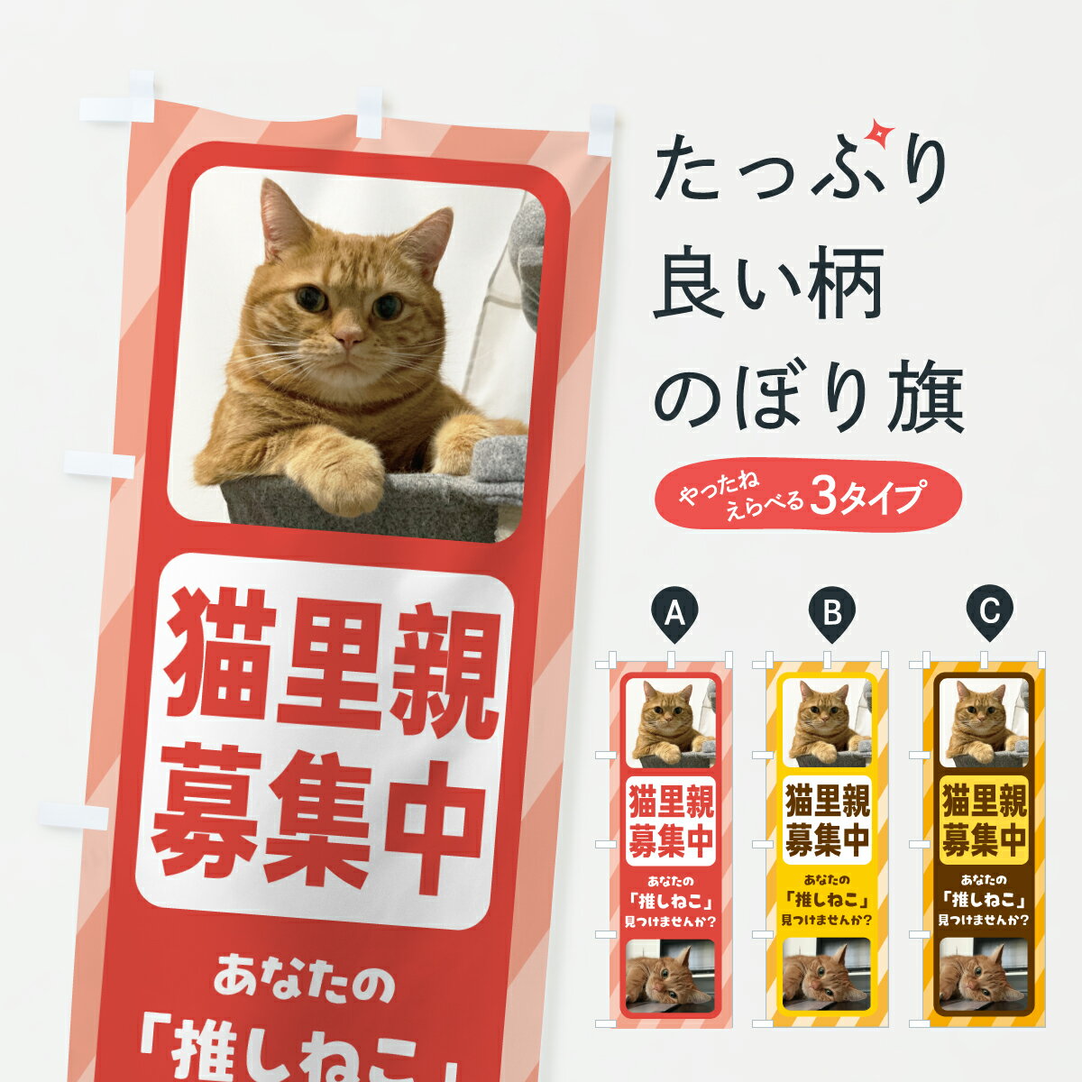 �ڥݥ����� ����360�� �Τܤ�� ǭΤ���罸�桦ǭ��Τ�Ƥ��󡦾��ϲ�Τܤ� J897 �ڥåȡ�ưʪ ���å��ץ� ��̾����Ǥ��ޤ�+1017�ߡ�