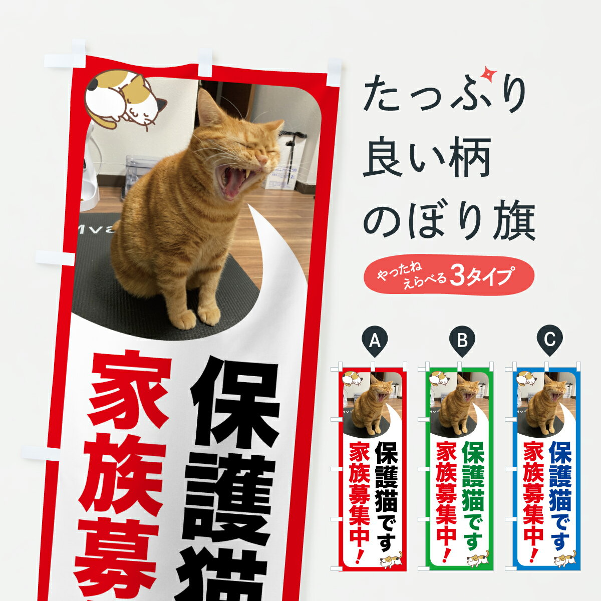 �ڥݥ����� ����360�� �Τܤ�� �ݸ�ǭ����²�罸�桦Τ���罸�桦��ǭ�Τܤ� JX7X �ڥåȡ�ưʪ ���å��ץ� ��̾����Ǥ��ޤ�+1017�ߡ�