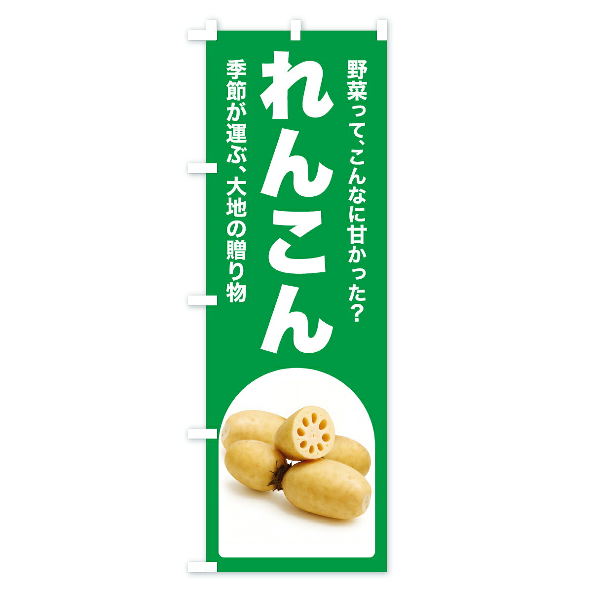 グッズプロの【ポスト便 送料360】 のぼり旗 れんこん・レンコン・蓮根・野菜のぼり YU1R グッズプロ 【名入れできます+1017円】｜アングル2
