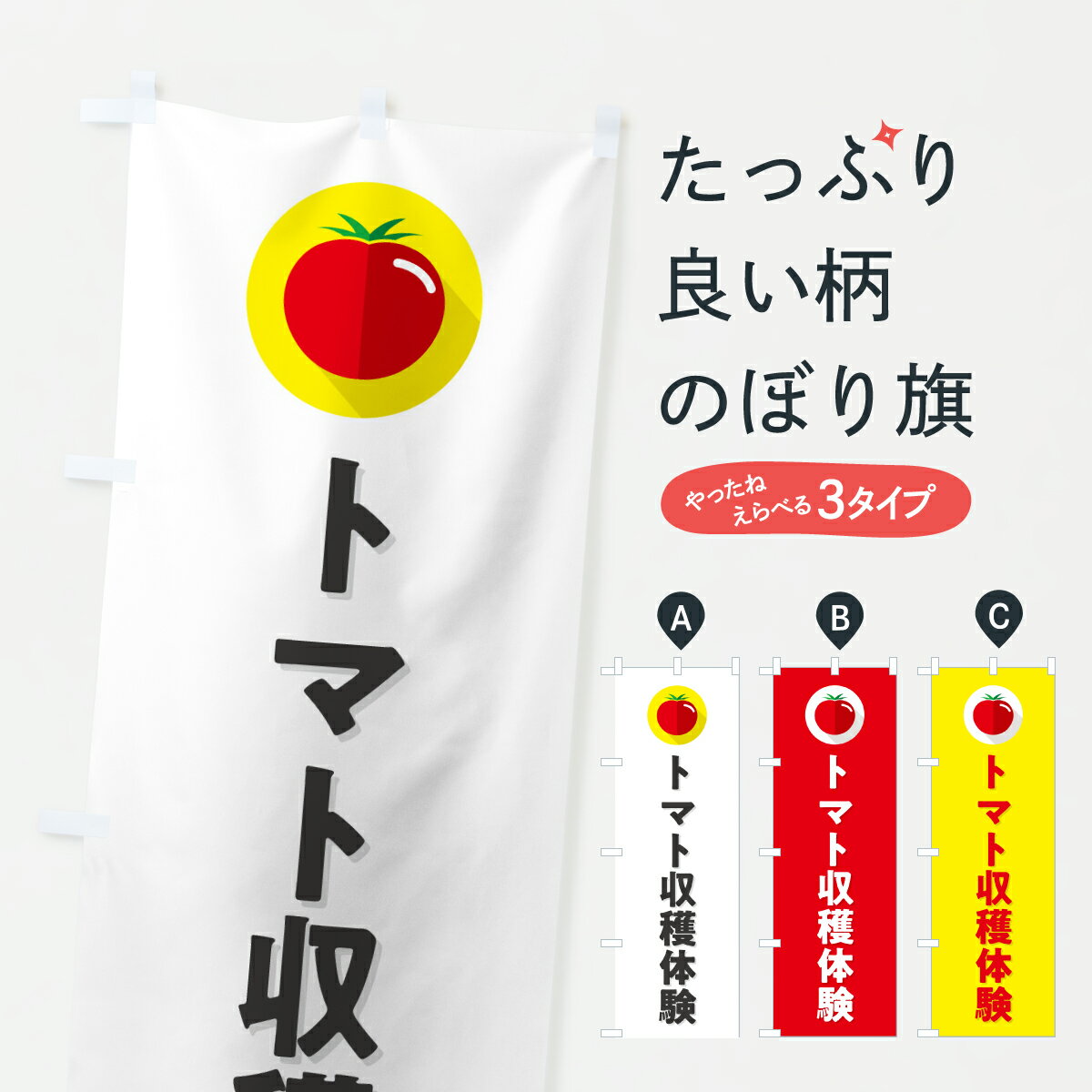 �ڥݥ����� ����360�� �Τܤ�� �ȥޥȼ����θ��Τܤ� YW7U �Ȥޤȡ����� ���å��ץ� ��̾����Ǥ��ޤ�+1017�ߡ�