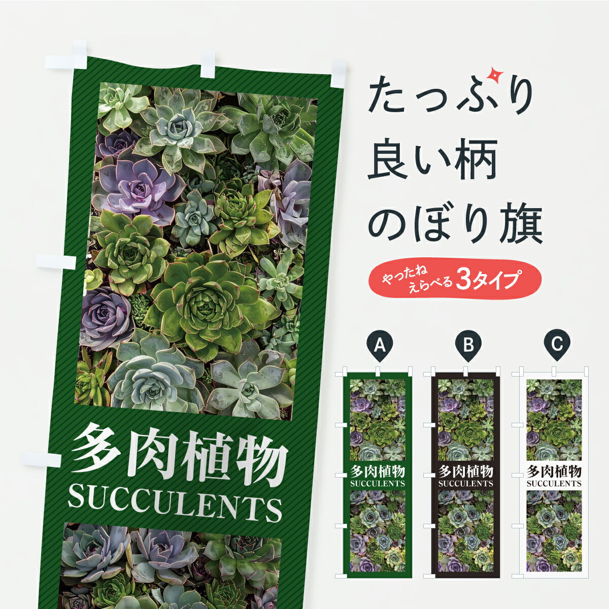 【ポスト便 送料360】 のぼり旗 多肉植物のぼり C4Y0 グッズプロ 【名入れできます+1017円】