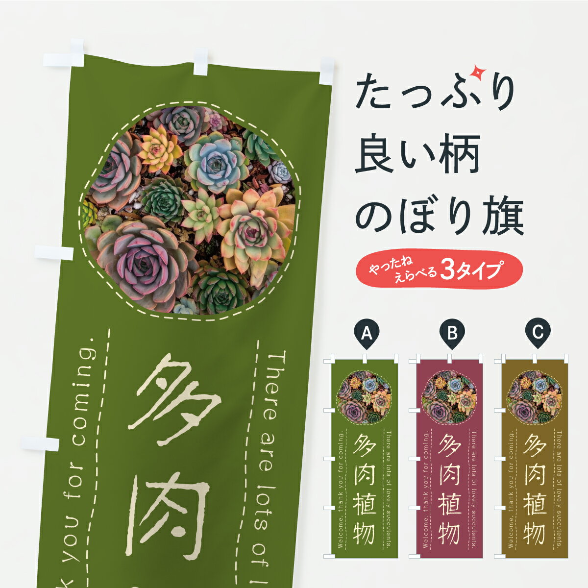 【ポスト便 送料360】 のぼり旗 多肉植物のぼり C4Y1 グッズプロ 【名入れできます+1017円】