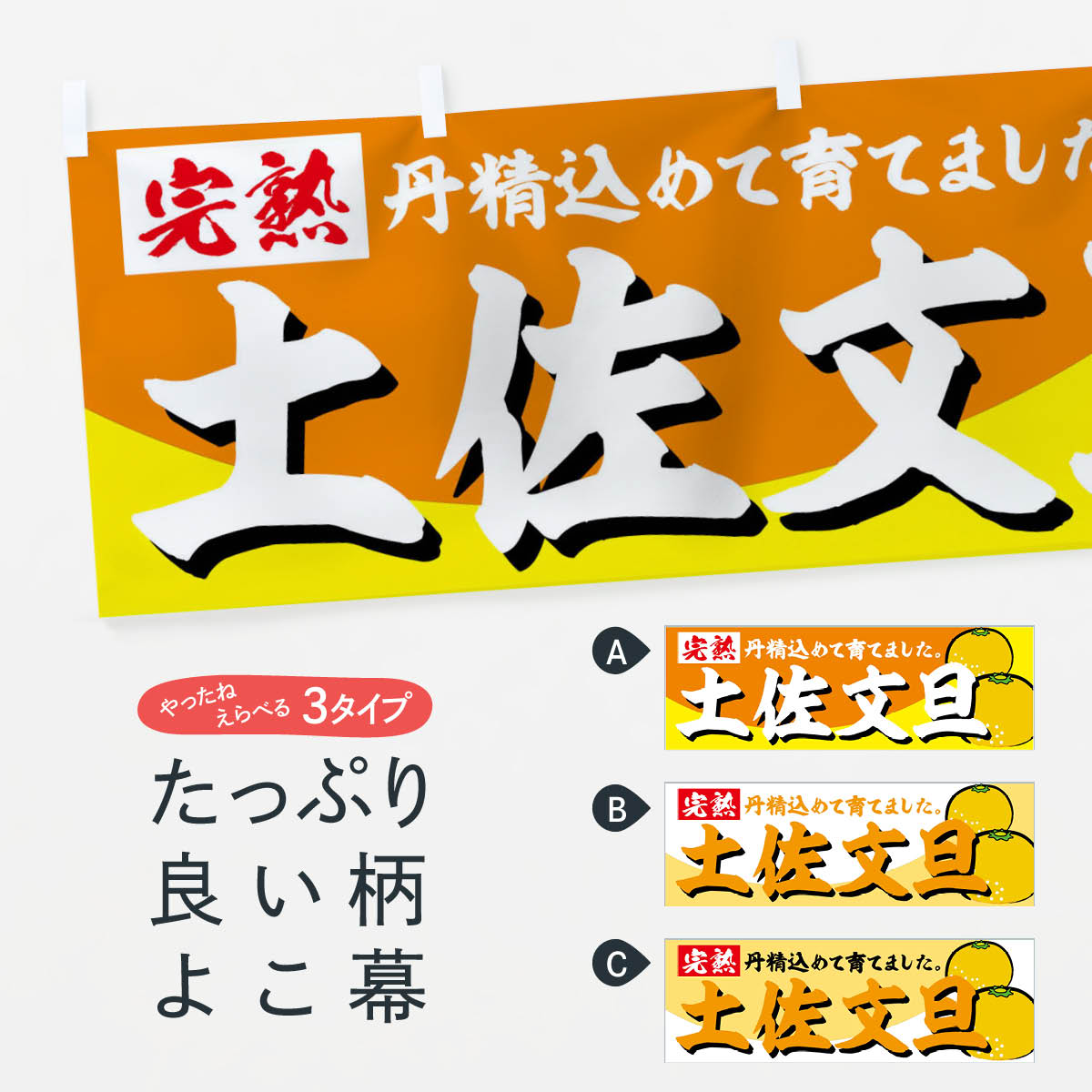 【ネコポス送料360】 横幕 土佐文旦 