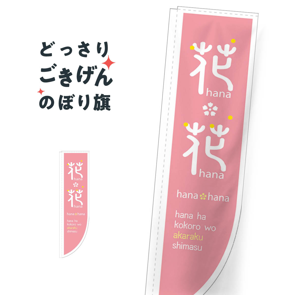 Rù˥ ֡ Τܤ 21310 եå