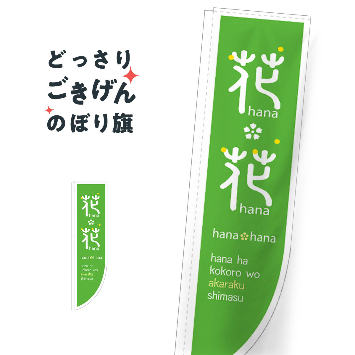 Rù˥ ֡ Τܤ 21311 եå