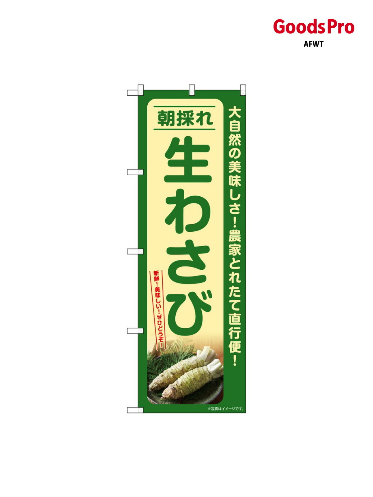 のぼり 生わさび 朝採れ SNB-7386 グッズプロ