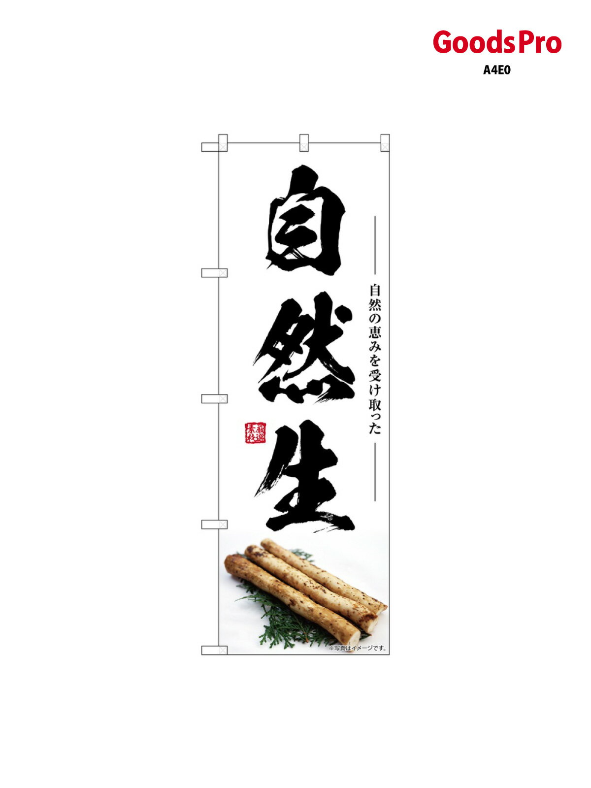 乐天商城 - のぼり 自然生 SNB-7412 グッズプロ