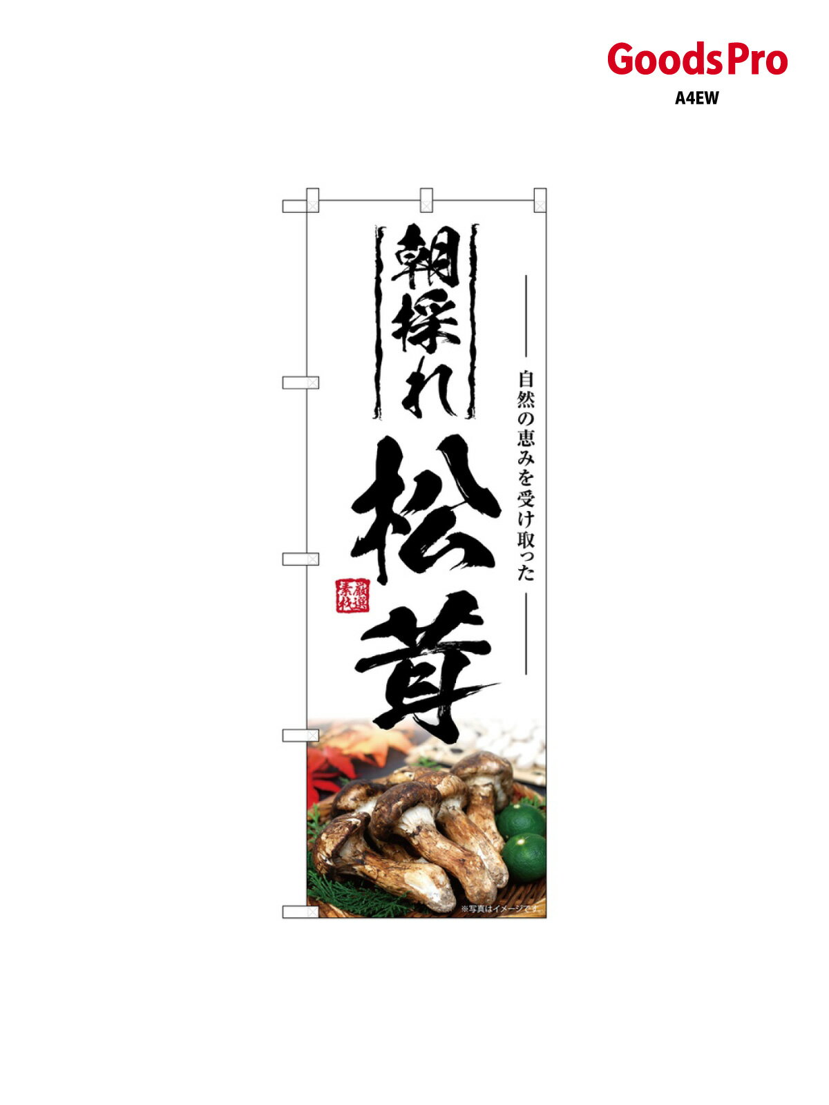 のぼり 松茸 朝採れ SNB-7427 グッズプロ