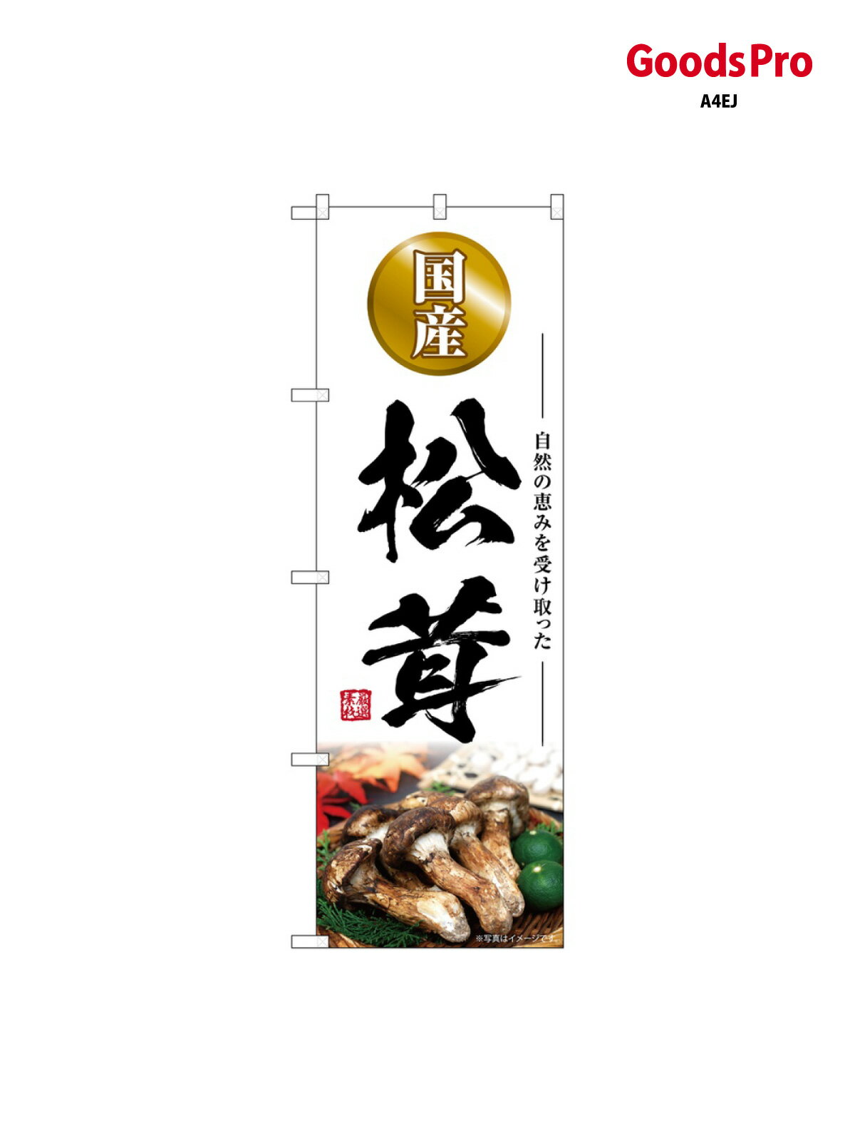 のぼり 松茸 国産 SNB-7429 グッズプロ