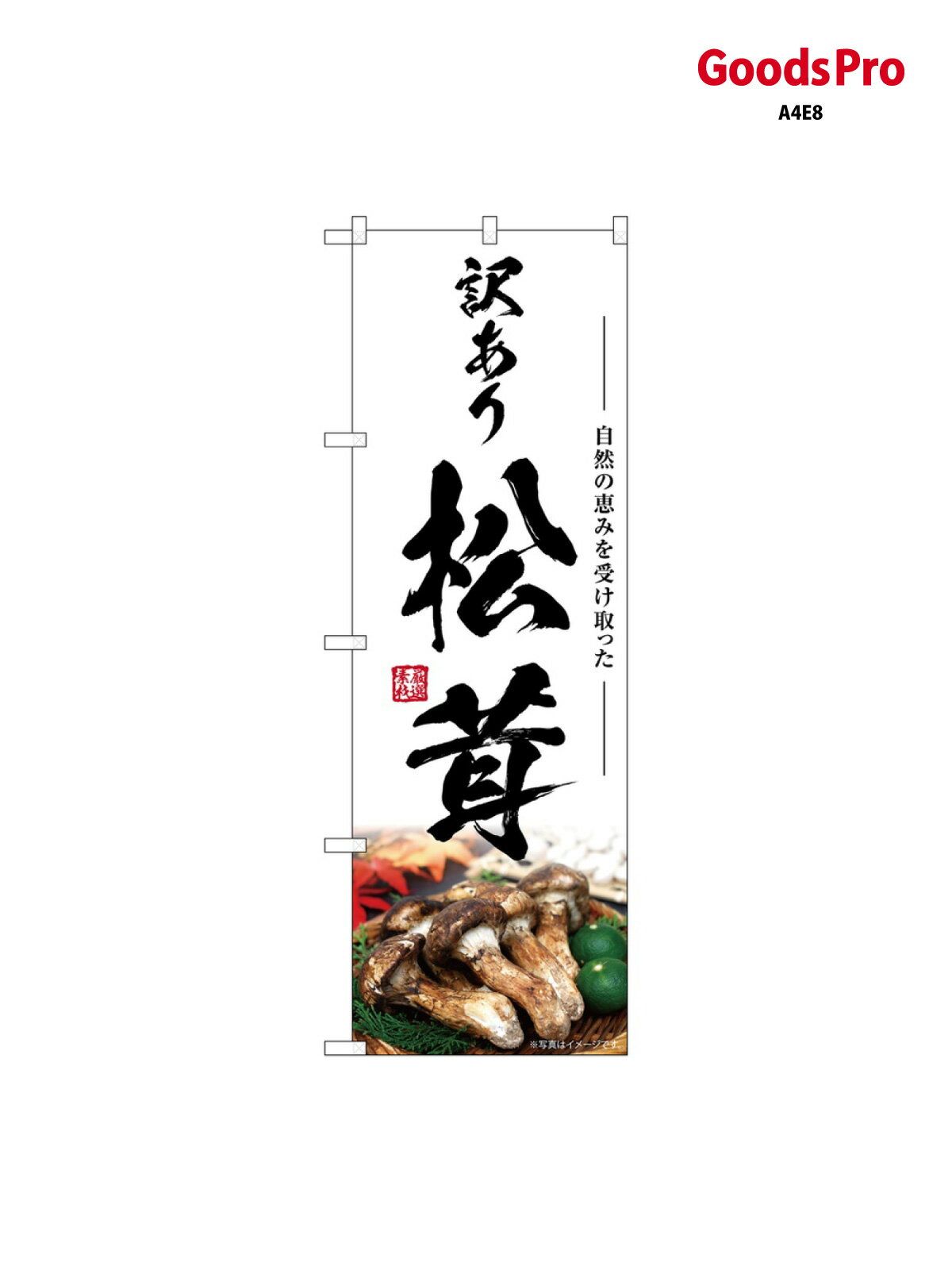 のぼり 松茸 訳あり SNB-7431 グッズプロ