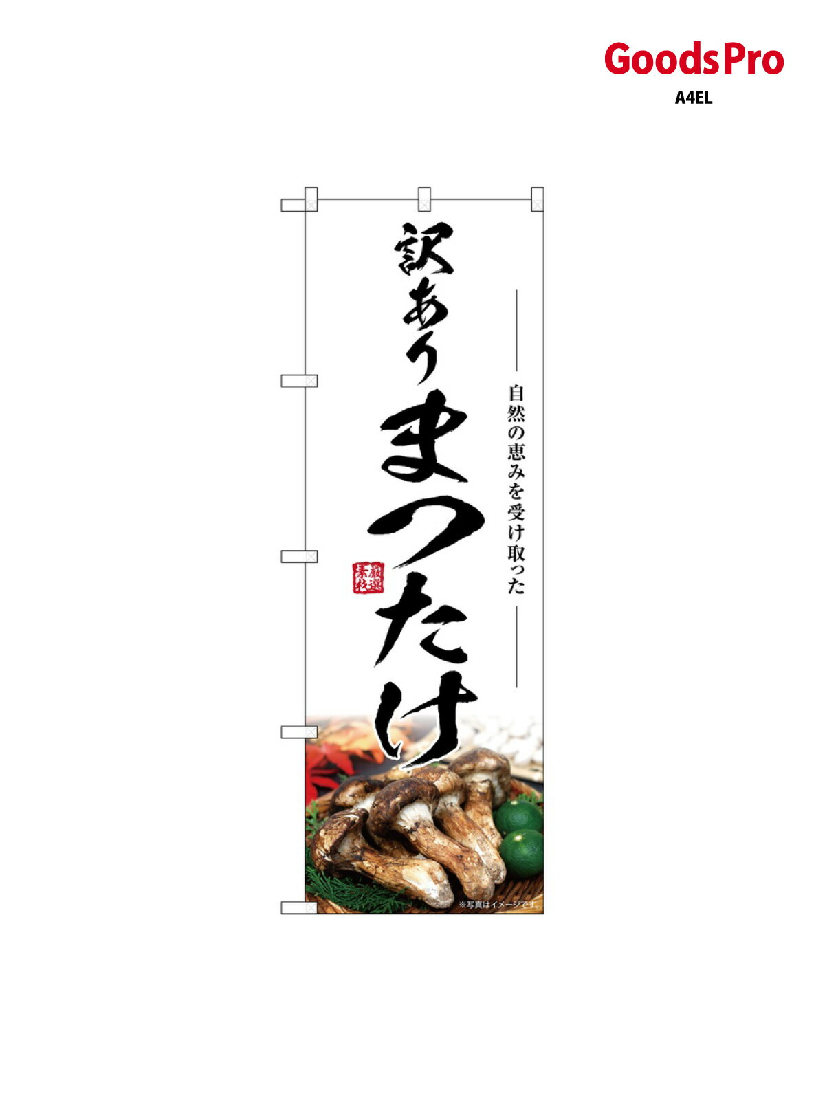 のぼり まつたけ 訳あり SNB-7432 グッズプロ