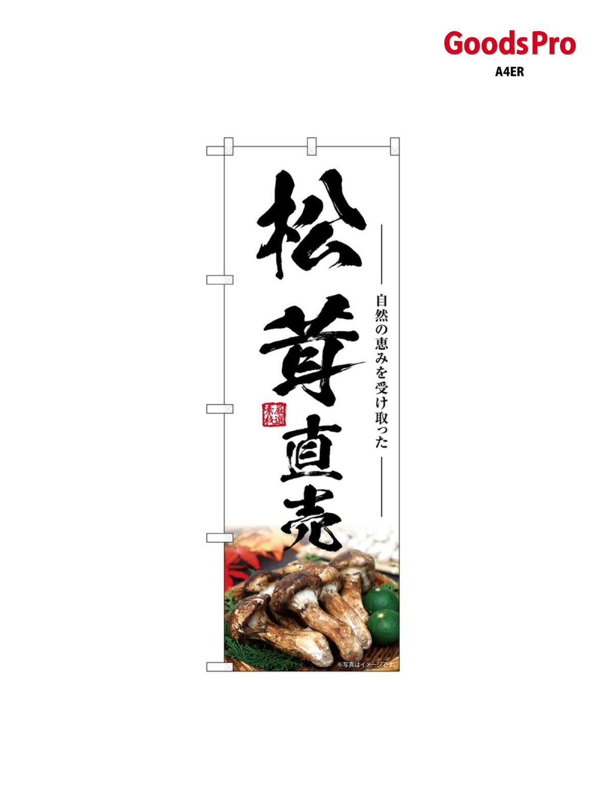 のぼり 松茸直売 SNB-7435 グッズプロ