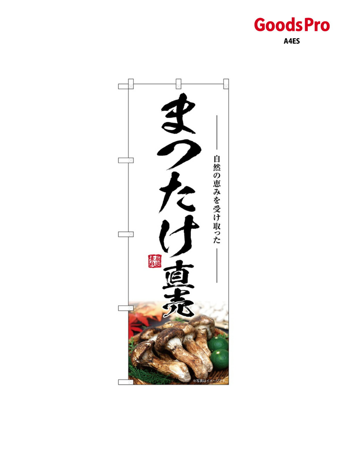 のぼり まつたけ直売 SNB-7436 グッズプロ