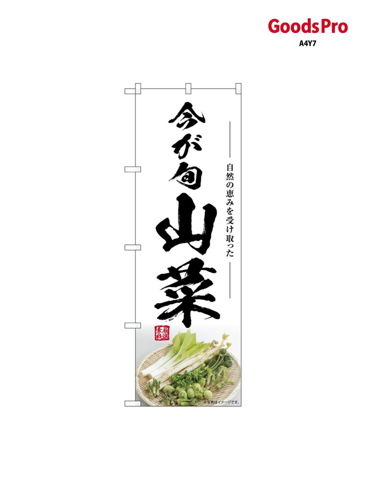 樂天商城 - のぼり 山菜 今が旬 SNB-7500 グッズプロ