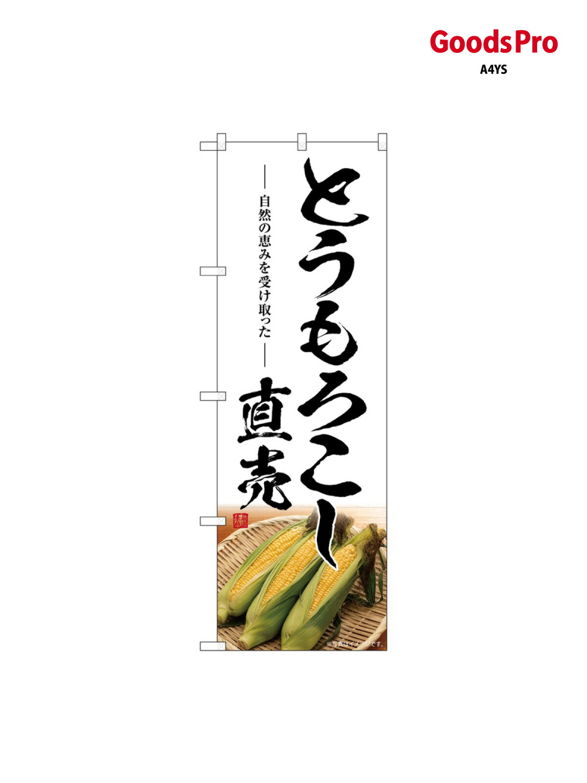 樂天商城 - のぼり とうもろこし直売 SNB-7520 グッズプロ