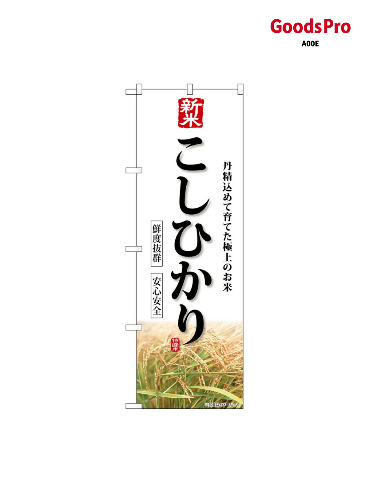 Rakuten - のぼり 新米 こしひかり SNB-8232 グッズプロ