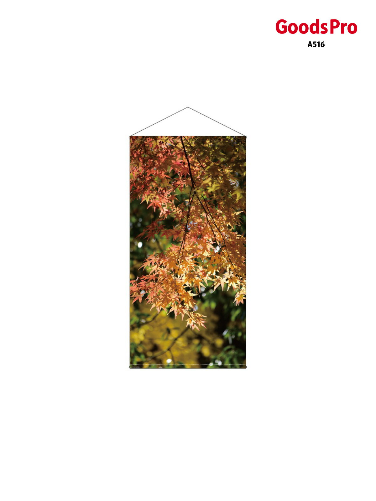 乐天商城 - 防炎タペストリーストリー 紅葉 写真のみ 44548 グッズプロ