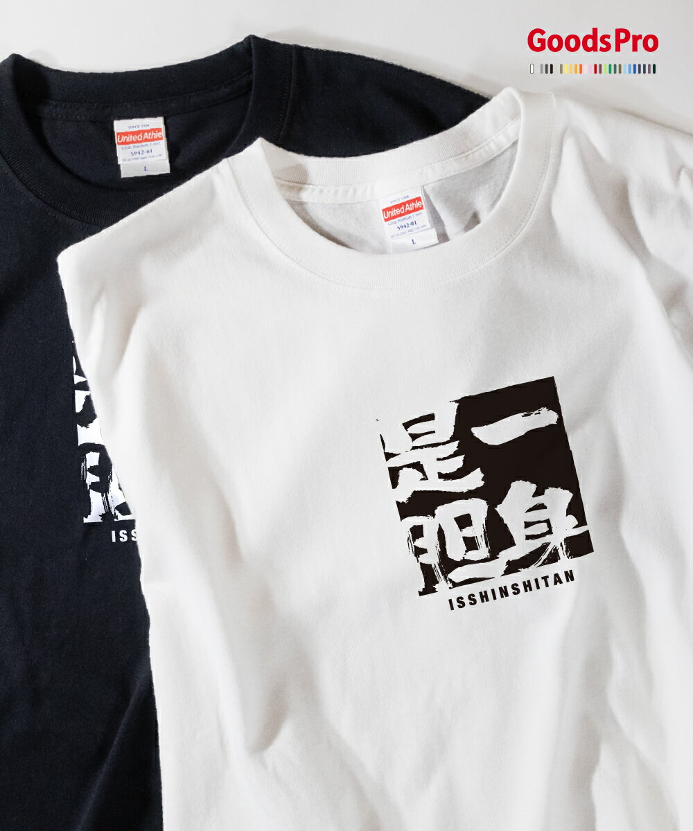 Tシャツ 一身是胆 いっしんしたん 四字熟語 発汗性の良い快適素材 ドライTシャツ グッズプロ