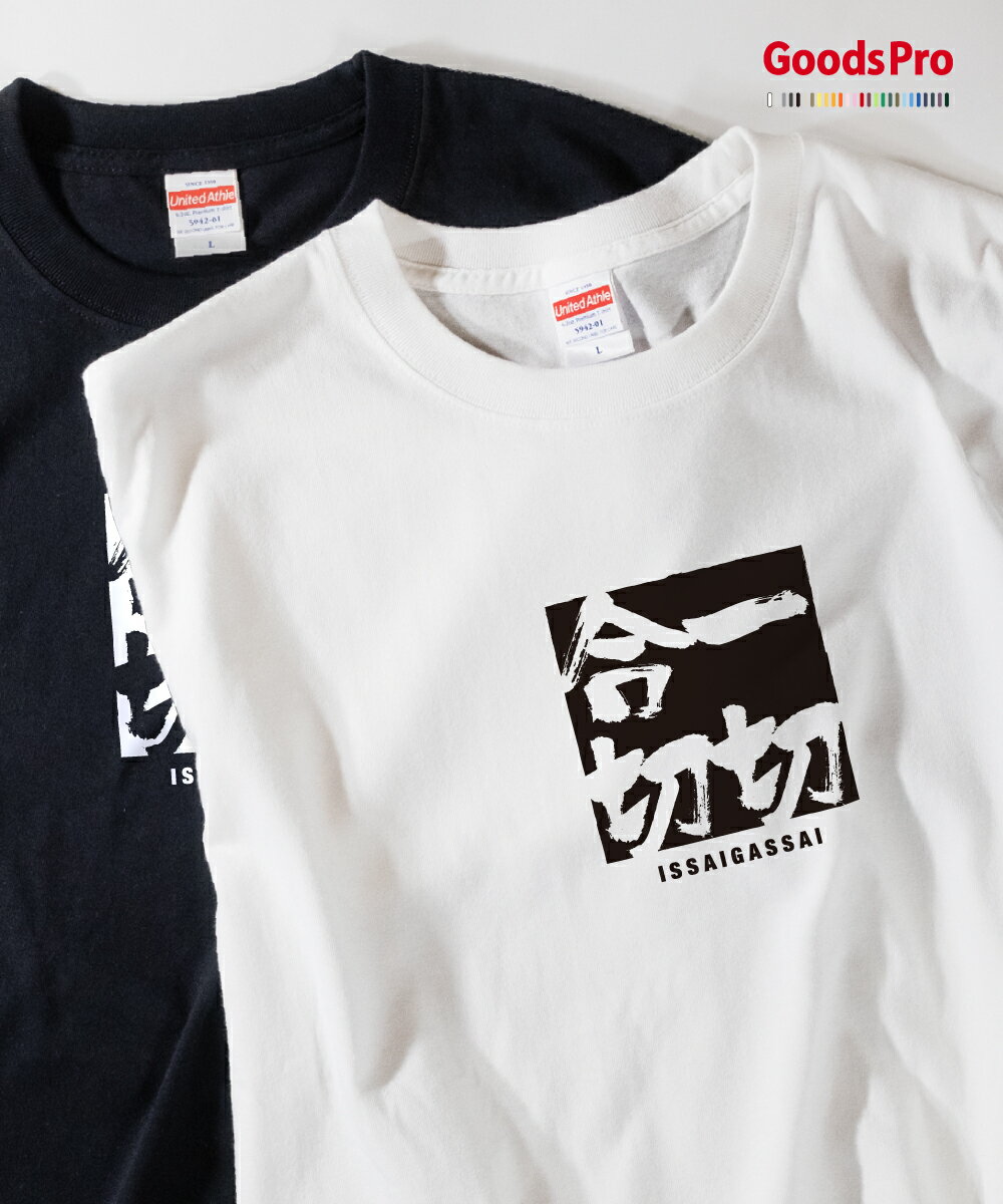 Tシャツ 一切合切 いっさいがっさい 四字熟語 発汗性の良い快適素材 ドライTシャツ グッズプロ