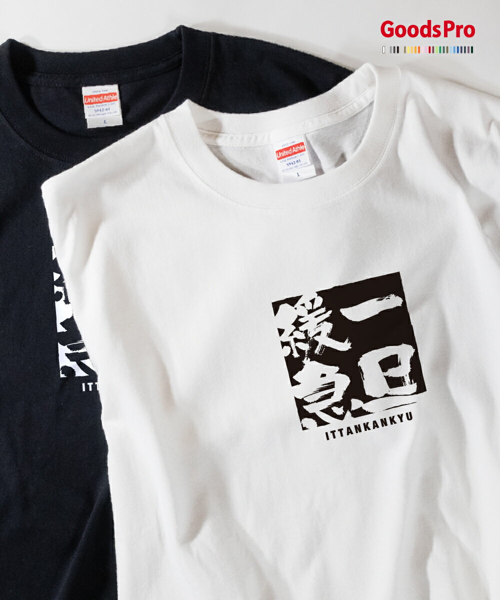 Tシャツ 一旦緩急 いったんかんきゅう 四字熟語 発汗性の良い快適素材 ドライTシャツ グッズプロ
