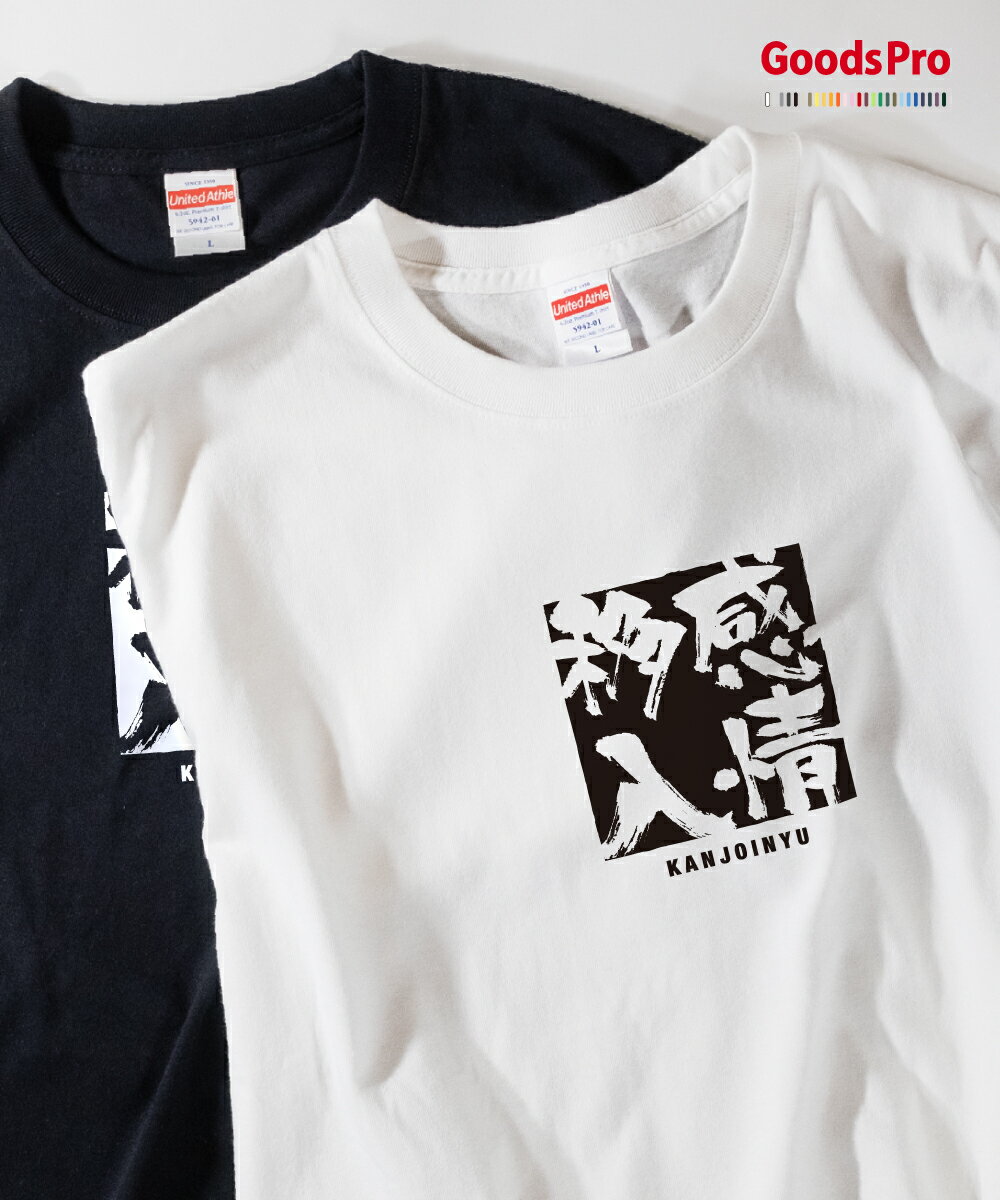 Tシャツ 感情移入 かんじょういにゅう 四字熟語 発汗性の良い快適素材 ドライTシャツ グッズプロ