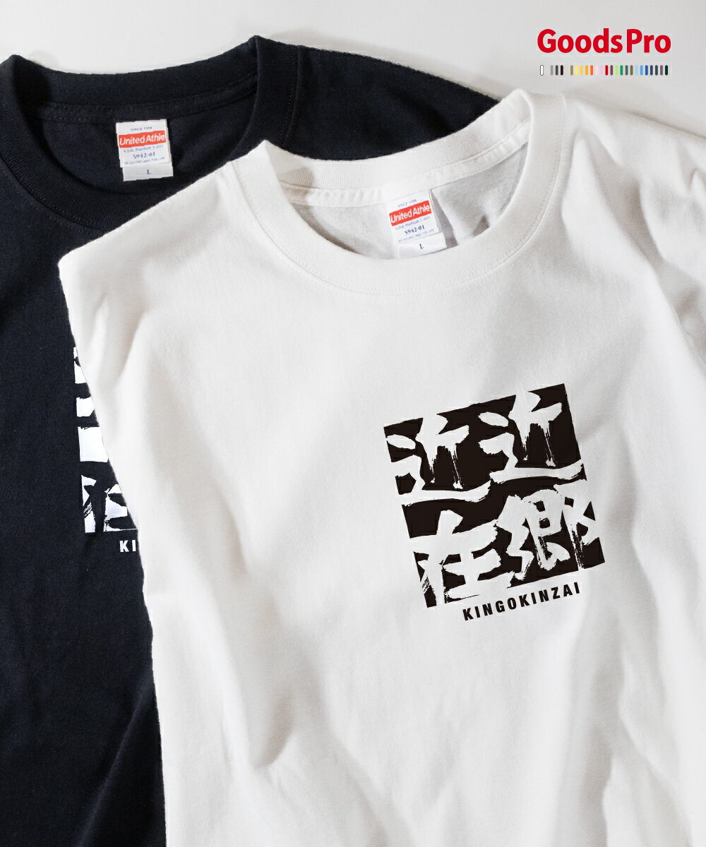 Tシャツ 近郷近在 四字熟語 発汗性の良い快適素材 ドライTシャツ グッズプロ