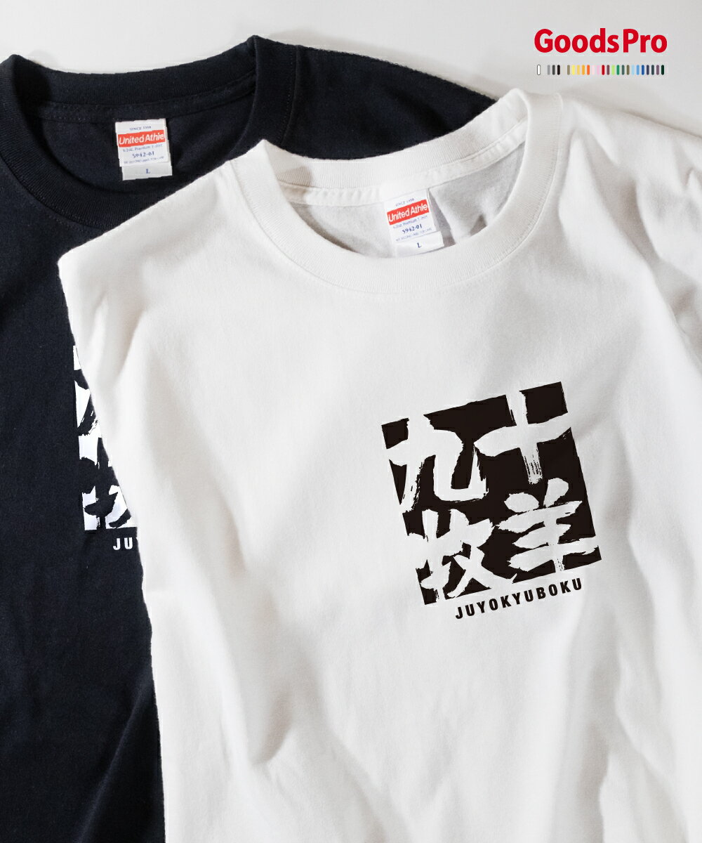 Tシャツ 十羊九牧 じゅうようきゅうぼく JUYOKYUBOKU 発汗性の良い快適素材 ドライTシャツ グッズプロ