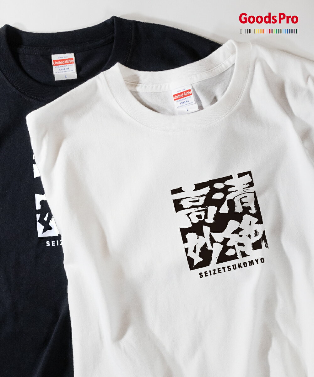 Tシャツ 清絶高妙 せいぜつこうみょう SEIZETSUKOMYO 発汗性の良い快適素材 ドライTシャツ グッズプロ