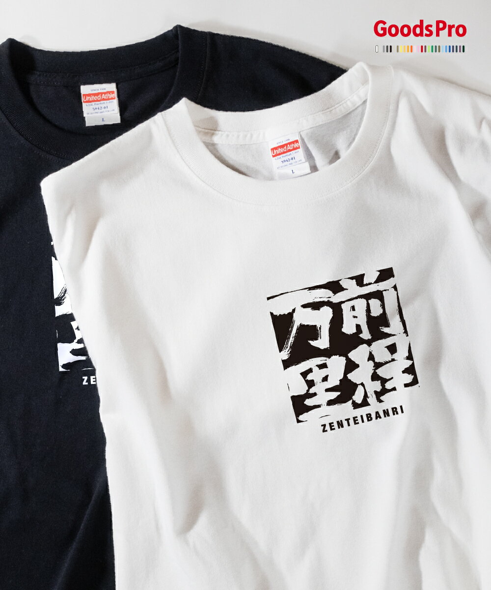 Tシャツ 前程万里 ぜんていばんり ZENTEIBANRI 発汗性の良い快適素材 ドライTシャツ