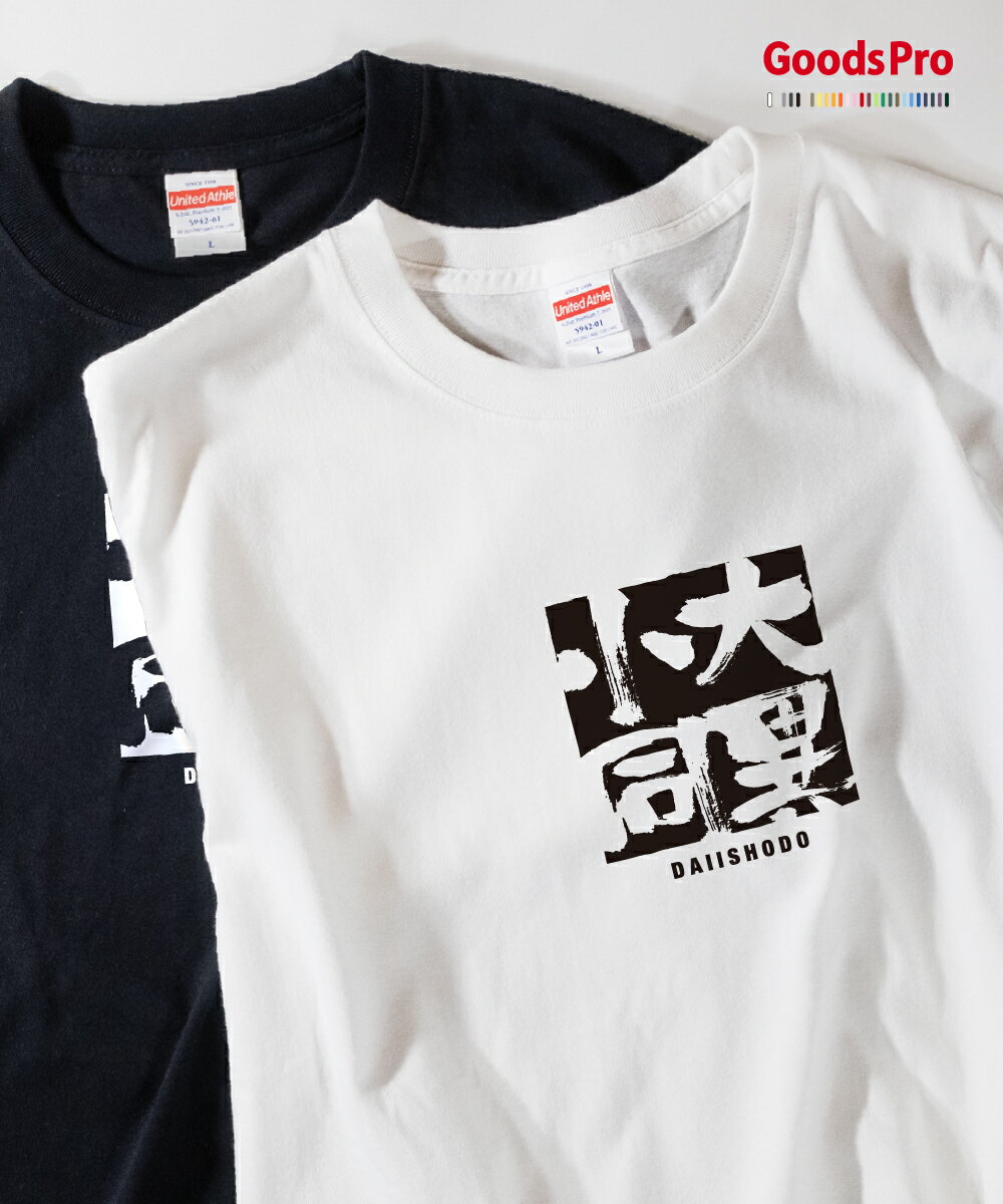 Tシャツ 大異小同 だいいしょうどう DAIISHODO 発汗性の良い快適素材 ドライTシャツ グッズプロ