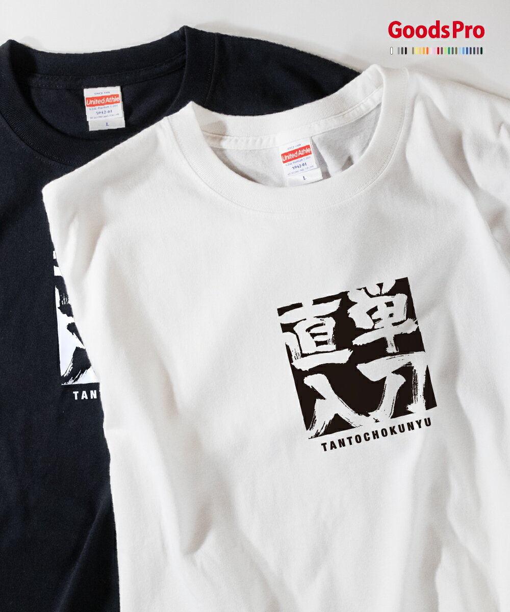 Tシャツ 単刀直入 たんとうちょくにゅう 四字熟語 発汗性の良い快適素材 ドライTシャツ グッズプロ