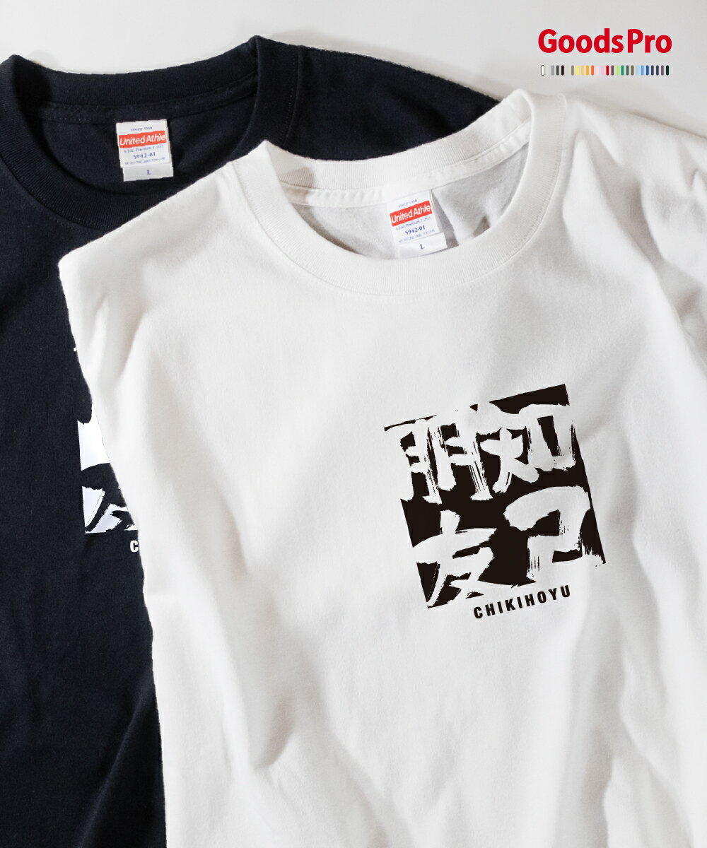 Tシャツ 知己朋友 ちきほうゆう 四字熟語 発汗性の良い快適素材 ドライTシャツ グッズプロ