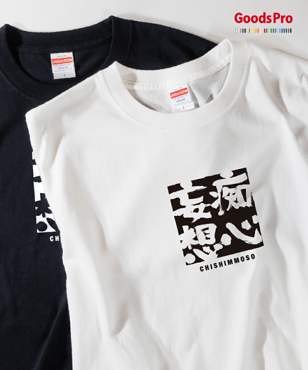 Tシャツ 痴心妄想 ちしんもうそう 四字熟語 発汗性の良い快適素材 ドライTシャツ グッズプロ
