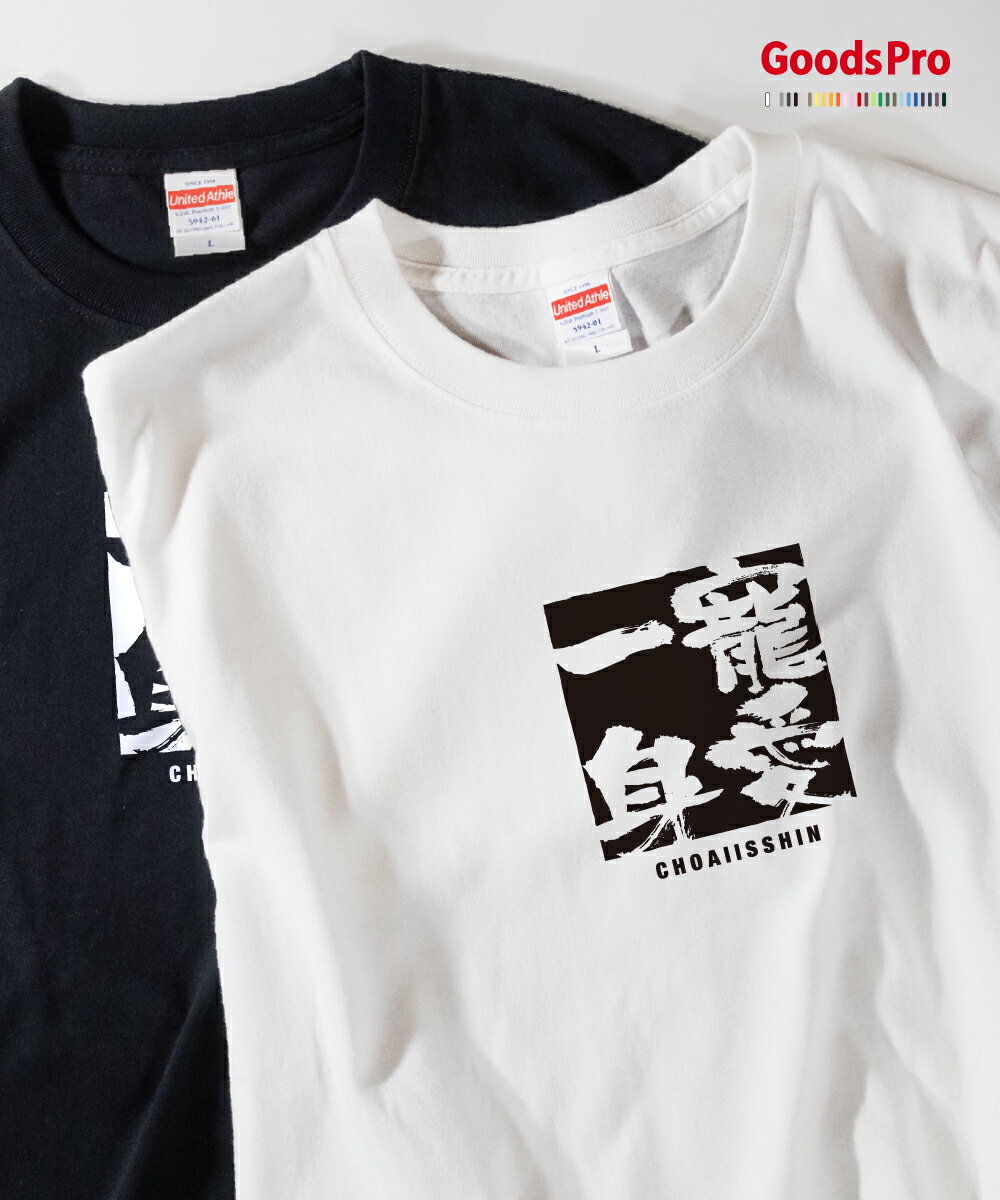 Tシャツ 寵愛一身 ちょうあいいっしん 四字熟語 発汗性の良い快適素材 ドライTシャツ グッズプロ