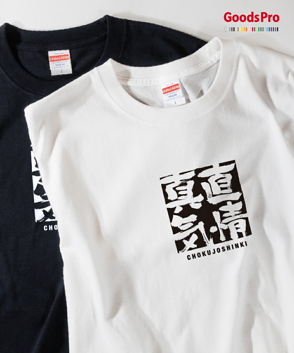 Tシャツ 直情真気 ちょくじょうしんき 四字熟語 発汗性の良い快適素材 ドライTシャツ グッズプロ
