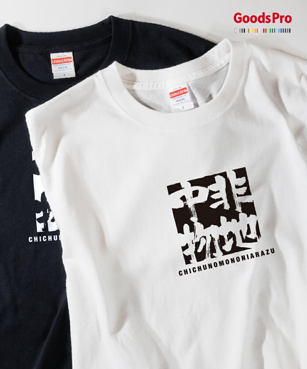Tシャツ 非地中物 ちちゅうのものにあらず 四字熟語 発汗性の良い快適素材 ドライTシャツ グッズプロ