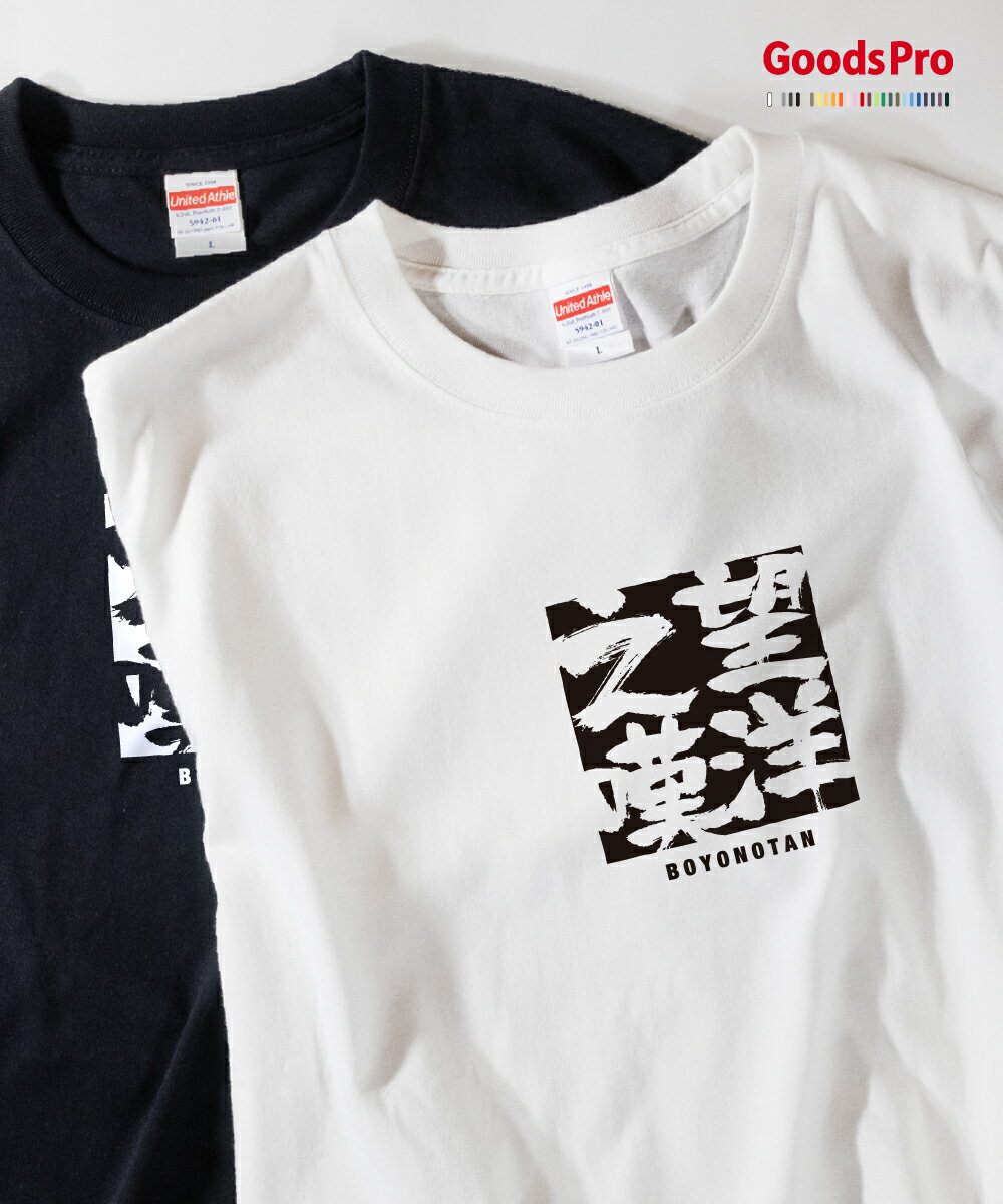 Tシャツ 望洋之嘆 ぼうようのたん 四字熟語 発汗性の良い快適素材 ドライTシャツ グッズプロ
