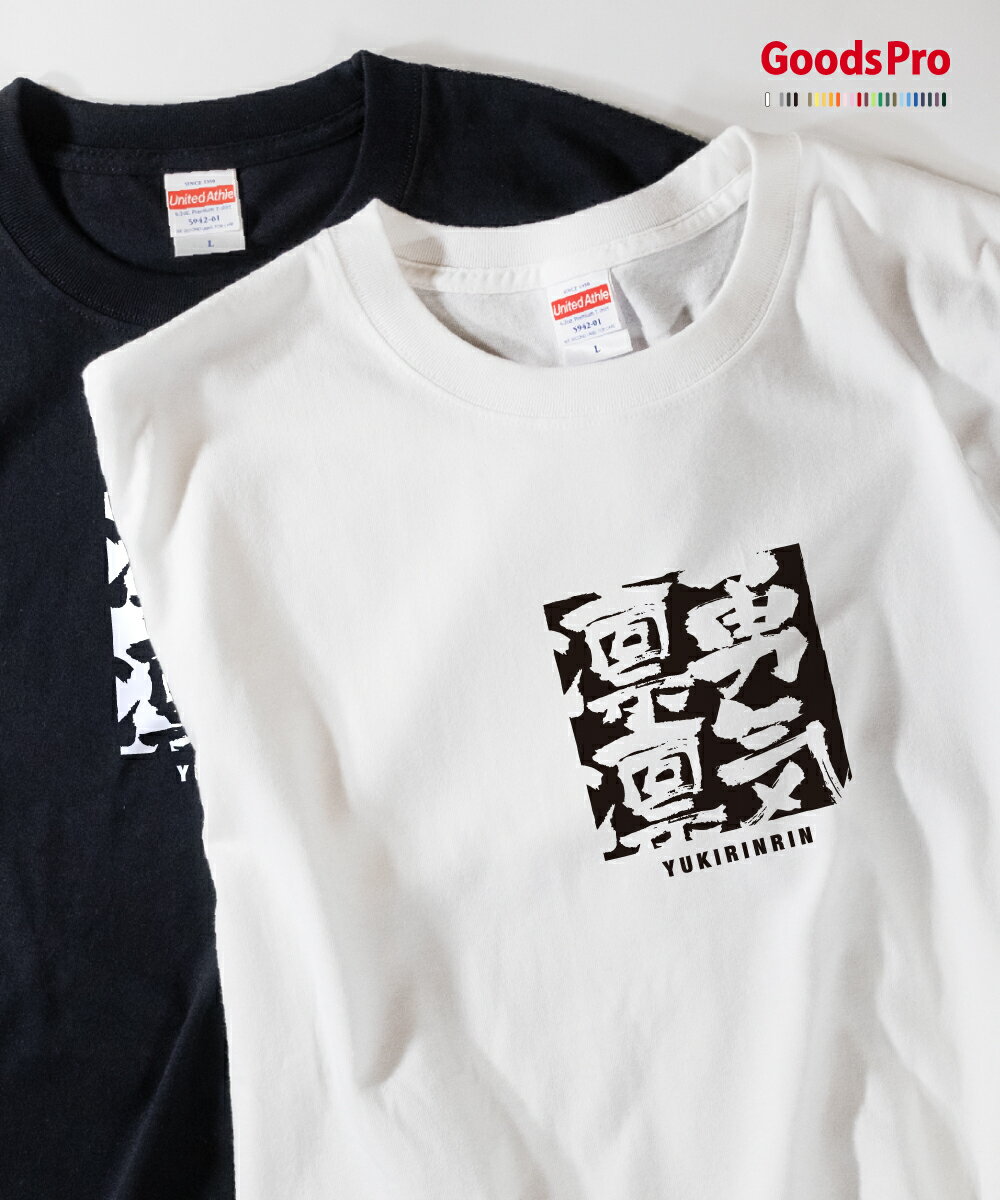 Tシャツ 勇気凛凛 ゆうきりんりん 四字熟語 発汗性の良い快適素材 ドライTシャツ グッズプロ