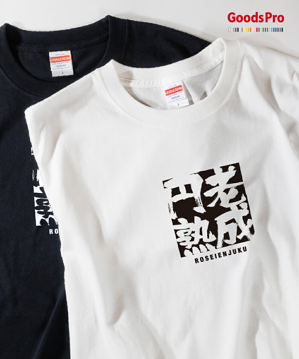 Tシャツ 老成円熟 ろうせいえんじゅく 四字熟語 発汗性の良い快適素材 ドライTシャツ グッズプロ