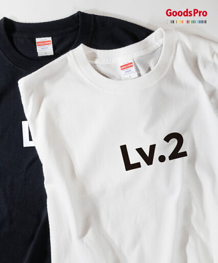 Tシャツ Lv.2 人生の経験値 発汗性の良い快適素材 ドライTシャツ グッズプロ Tシャツ Lv.2 人生の経験値 発汗性の良い快適素材 ドライTシャツ グッズプロ