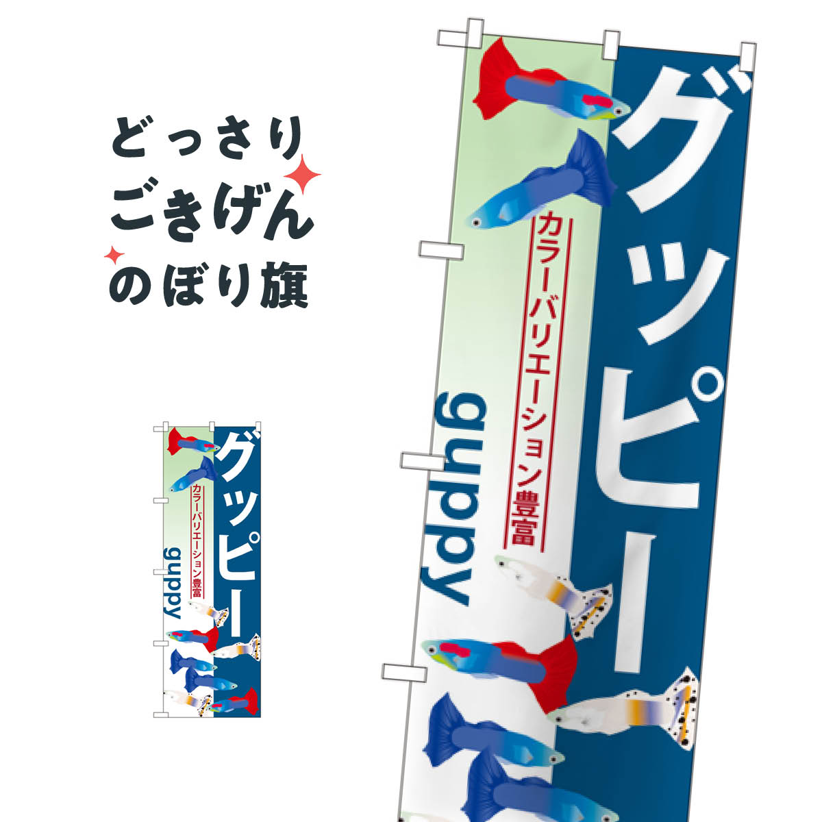 グッピー のぼり旗 GNB-565 熱帯魚