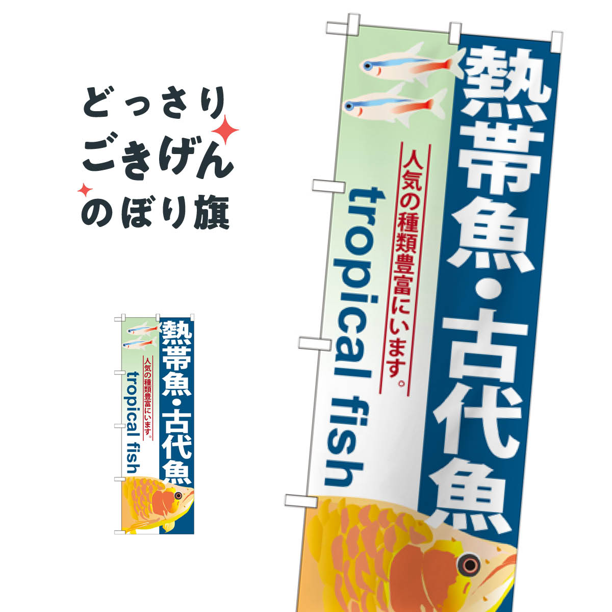 熱帯魚・古代魚 のぼり旗 GNB-567