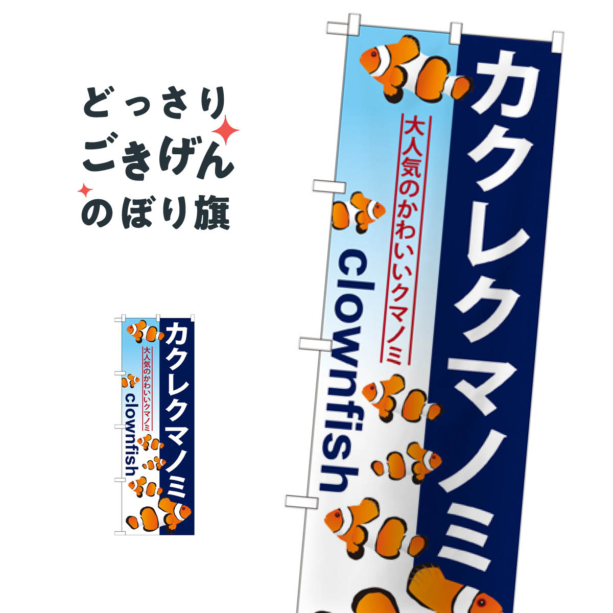 カクレクマノミ のぼり旗 GNB-573 熱帯魚