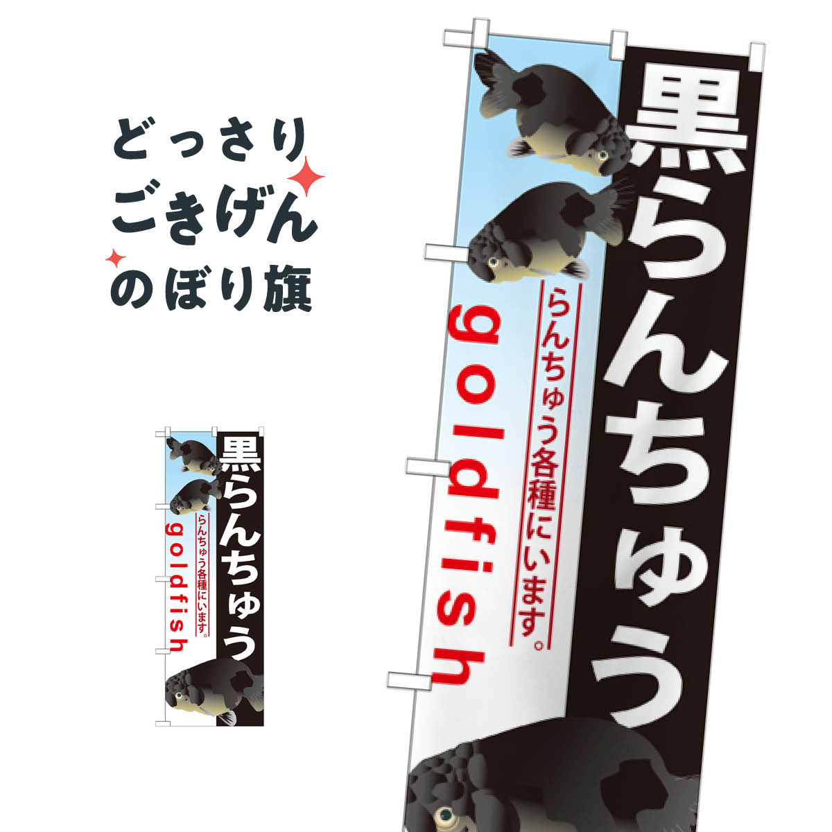 黒らんちゅう のぼり旗 GNB-584 金魚