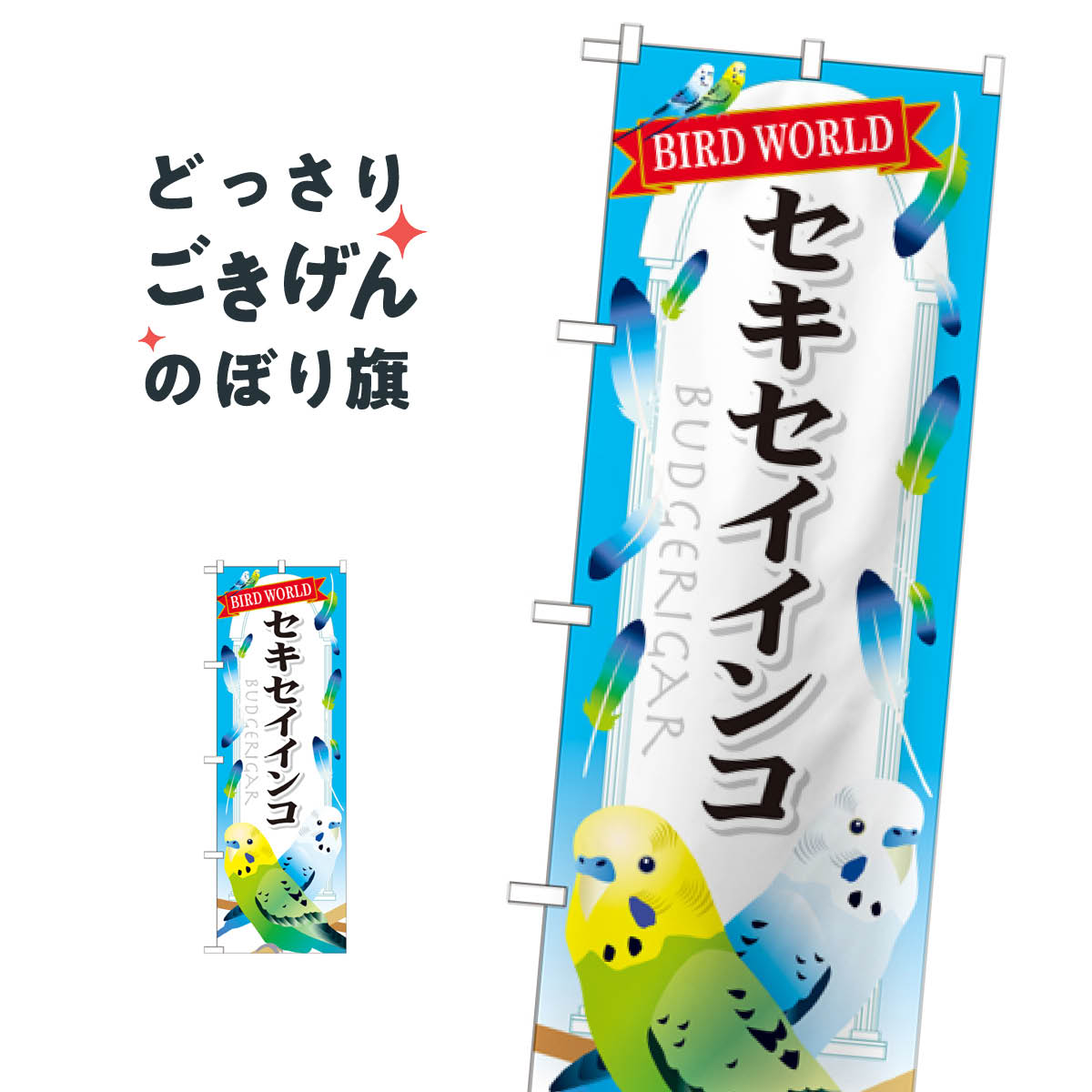 セキセイインコ のぼり旗 GNB-613 鳥・小動物