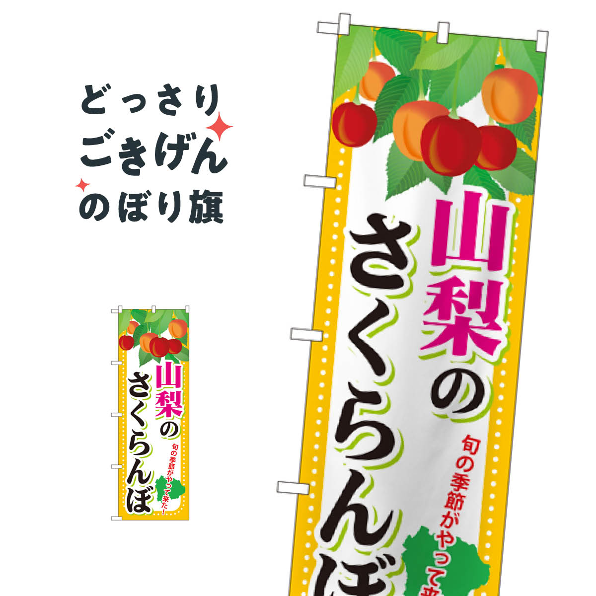 山梨のさくらんぼ のぼり旗 SNB-1335 果物