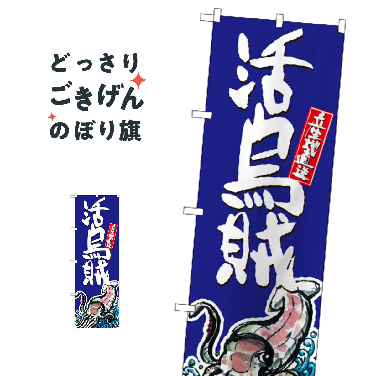 乐天商城 - 活烏賊 のぼり旗 SNB-1524 魚介名