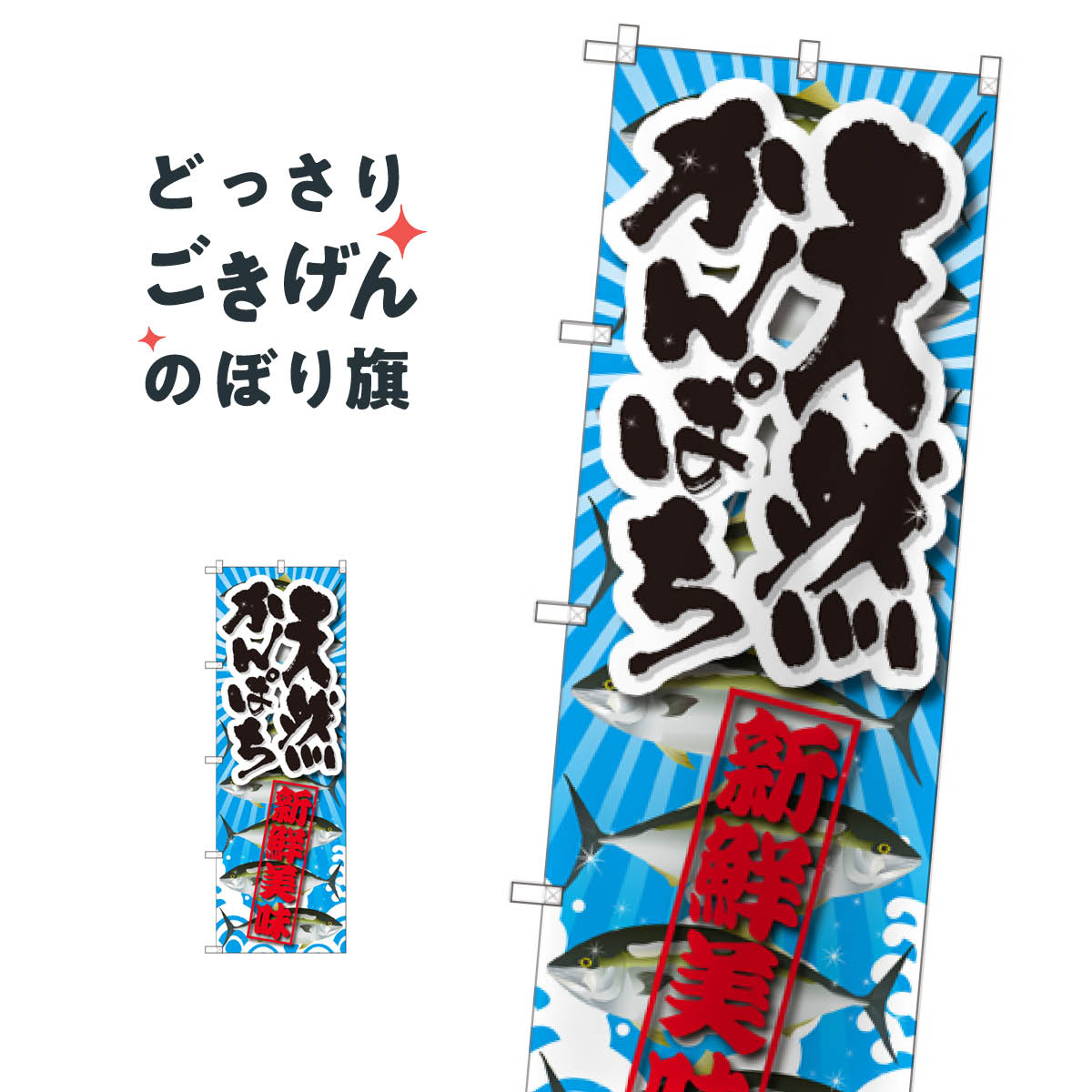 天然かんぱち のぼり旗 SNB-2360 魚介名