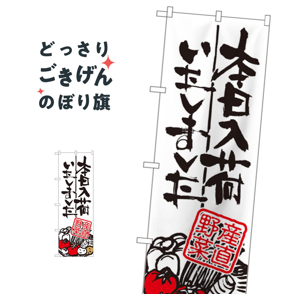 産直野菜本日入荷しました のぼり旗 SNB-986 新鮮野菜・直売